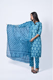 Elegant Blue Printed Salwar Kameez Set